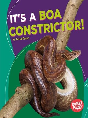 cover image of It's a Boa Constrictor!